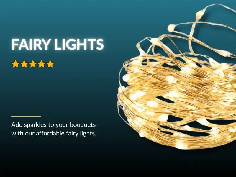 Fairy Light